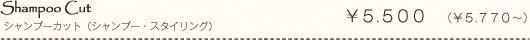 Shampoo Cut シャンプーカット(シャンプー・スタイリング) ¥5.500(¥5.770~)
