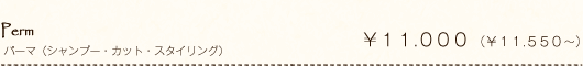 Perm パーマ(シャンプー・カット・スタイリング) ¥11.000 (¥11.550~)