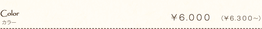 Color カラー ¥6.000 (¥6.300~)