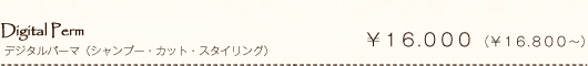 Digital Perm デジタルパーマ(シャンプー・カット・スタイリング)¥16.000(¥16.800~)