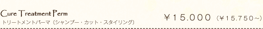 Cure Treatment Perm トリートメントパーマ(シャンプー・カット・スタイリング)¥15.000(¥15.750~)