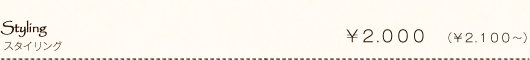Styling スタイリング ¥2.000(¥2.100~)